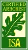 mt pleasant sc tree service certified arborist